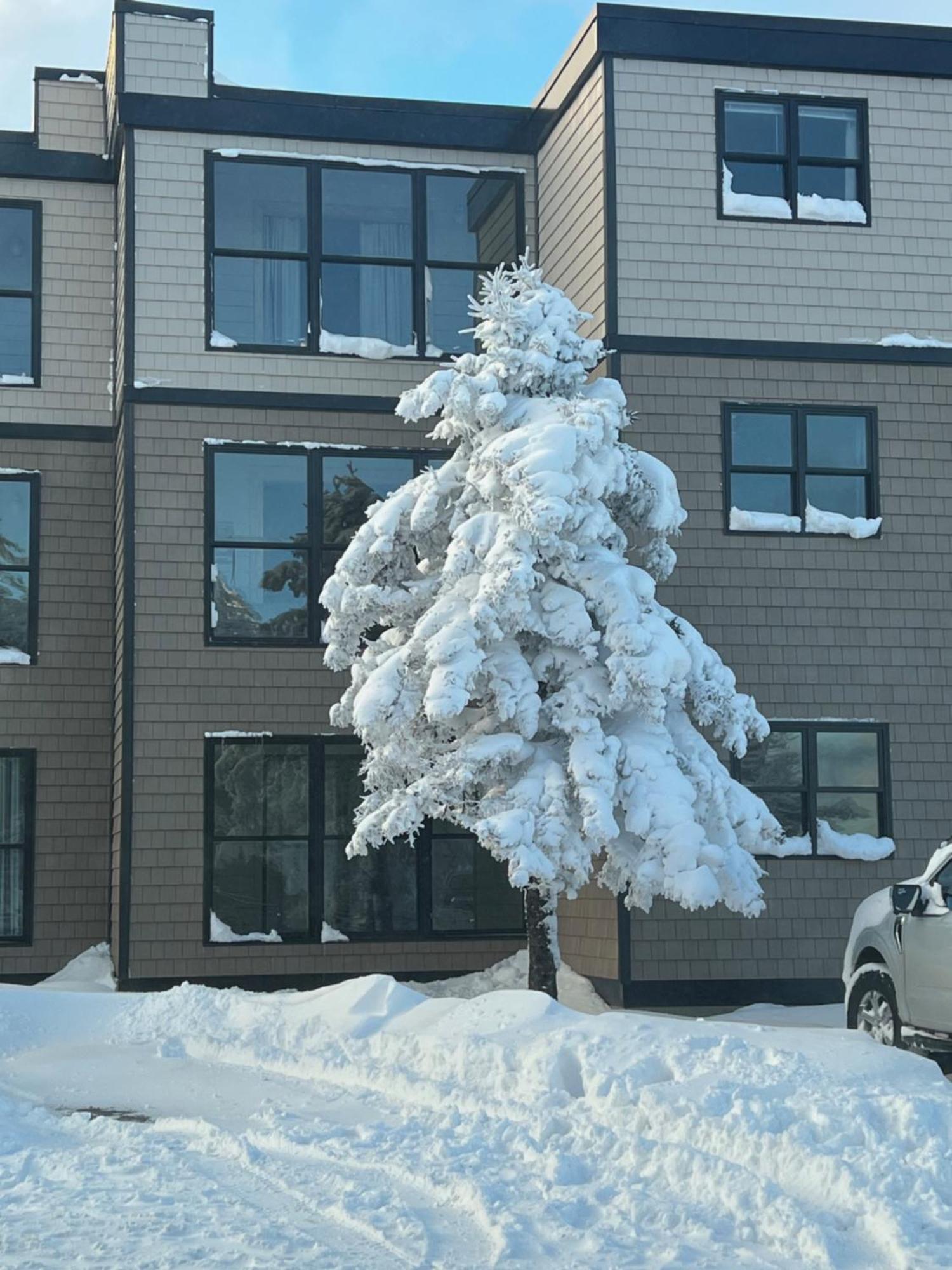 Snowcrest Condo Walking Distance To Slopes Snowshoe Bagian luar foto